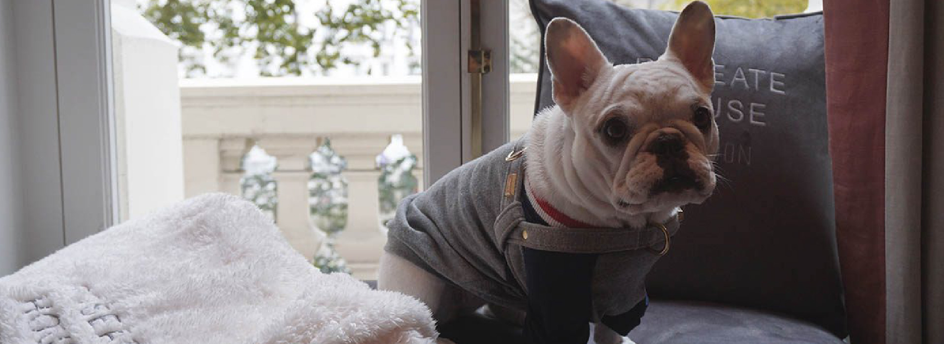 Roseate Hosue London Dine