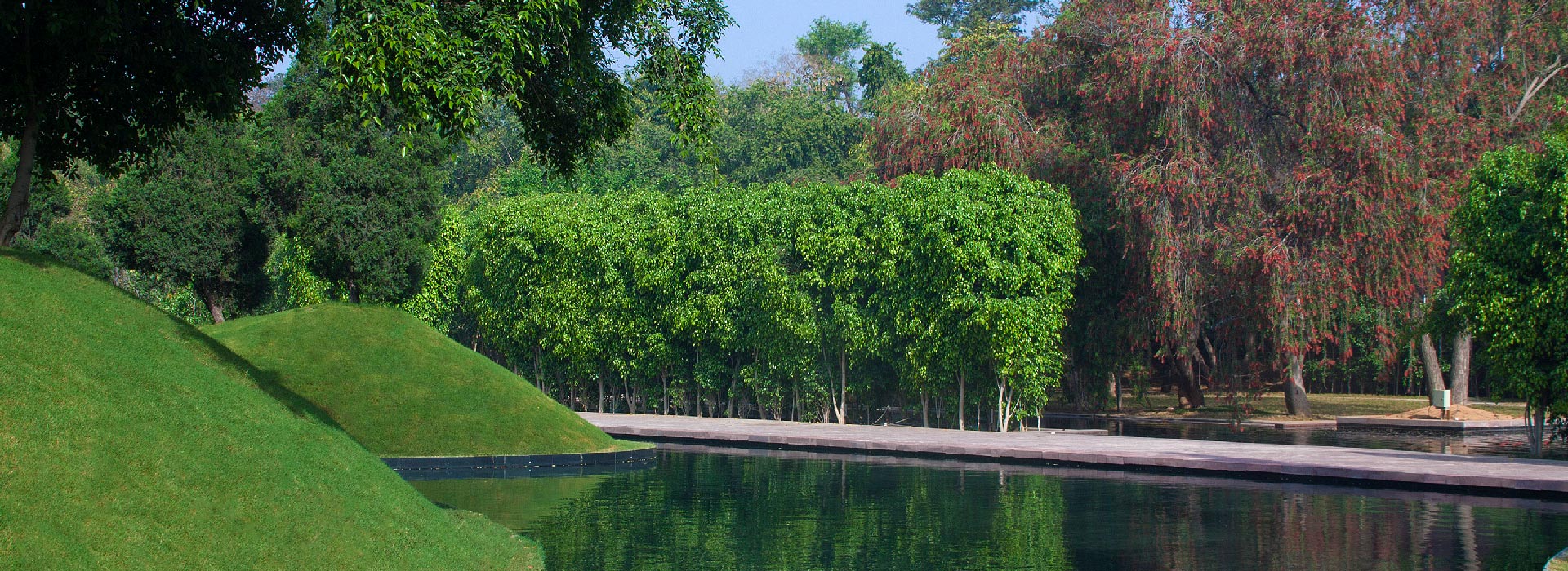 Roseate Kiyan-pathway